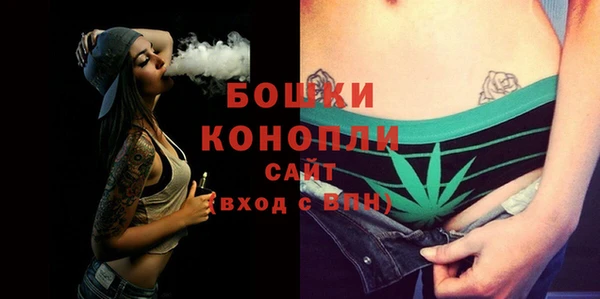 стаф Новокубанск
