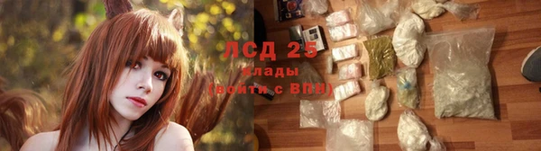 стаф Новокубанск
