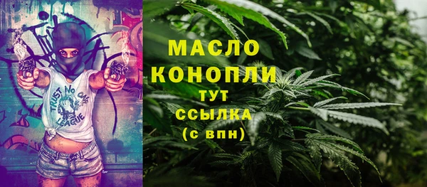 первитин Новозыбков