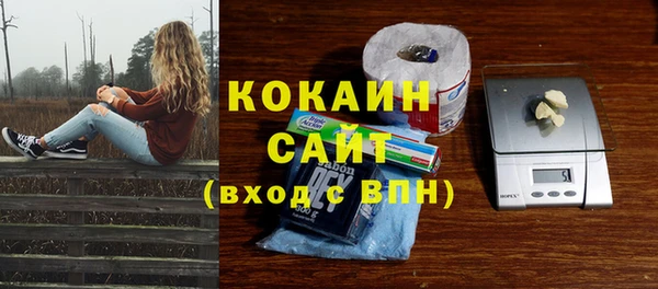 первитин Новозыбков