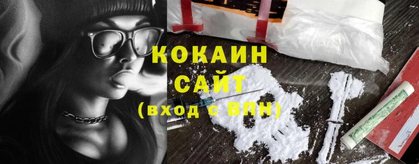 стаф Новокубанск