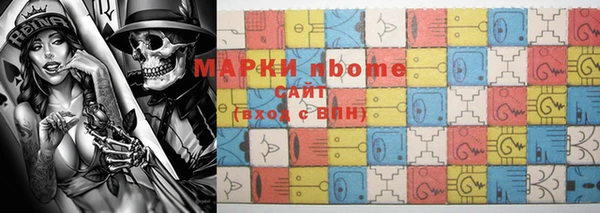 стаф Новокубанск