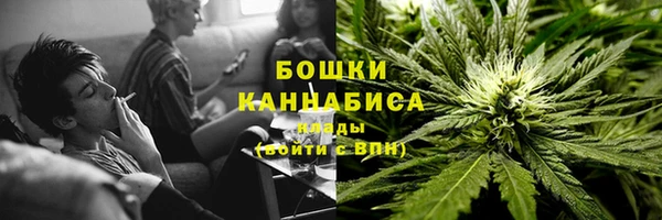 первитин Новозыбков