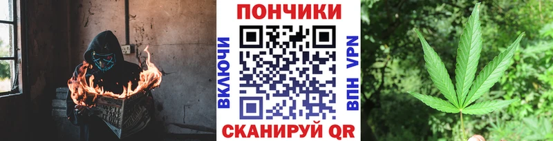 Канабис ГИДРОПОН  Купить закладки  Магас 